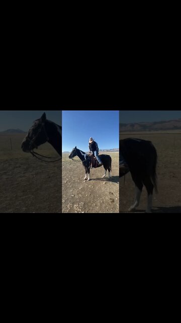 Horse Challenge Accepted!!