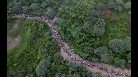 Rep. McCaul US Can Work With Panama to Close Darien Gap