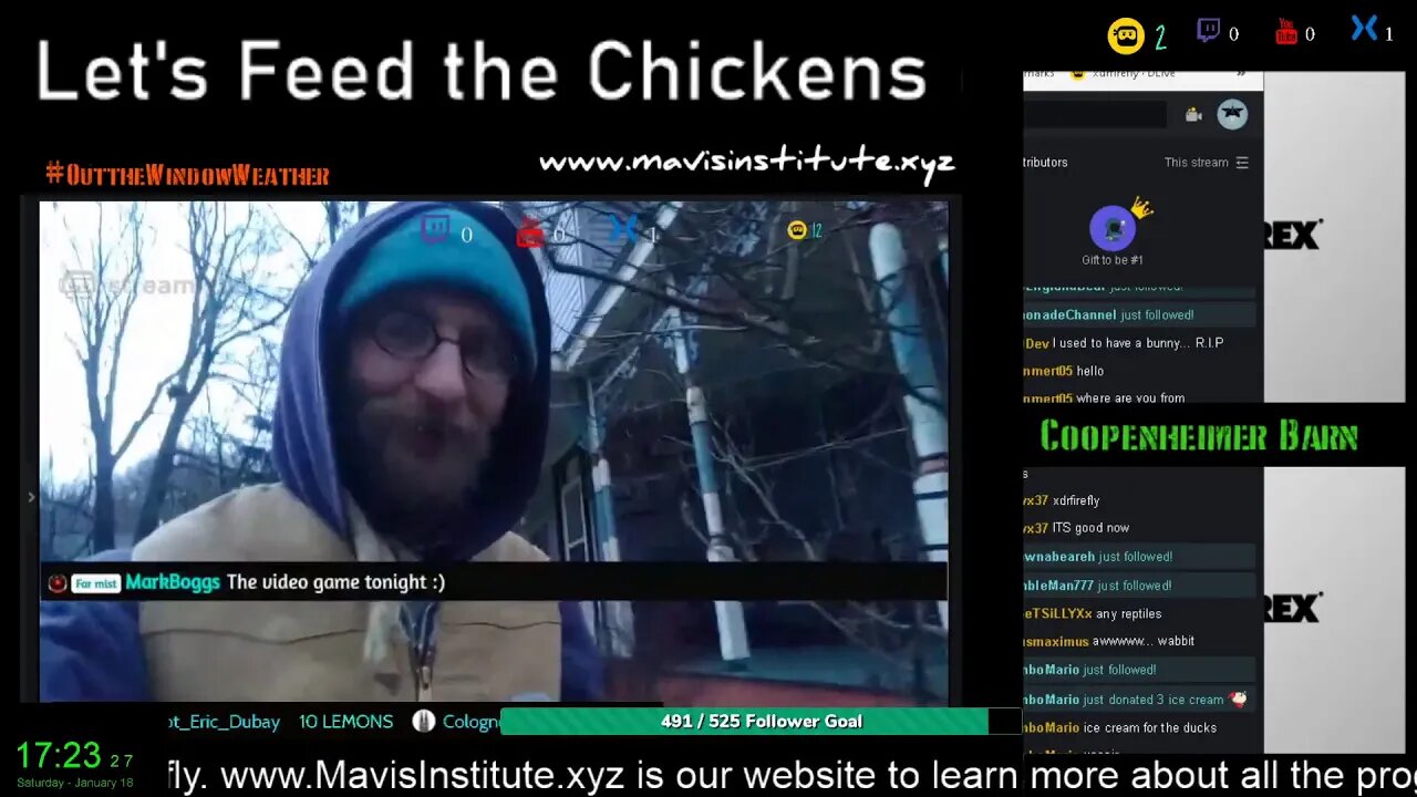 Let's Feed the Chickens : Ep 32 : Slow Days