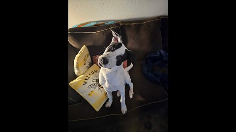 Snoopy Best Dog Ever