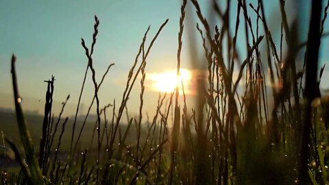 The Beautiful World We Live In: A Video By Scott Wenger
