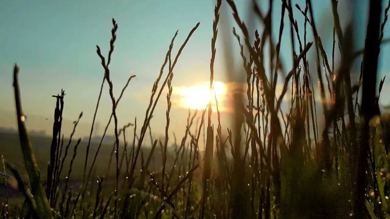 The Beautiful World We Live In: A Video By Scott Wenger
