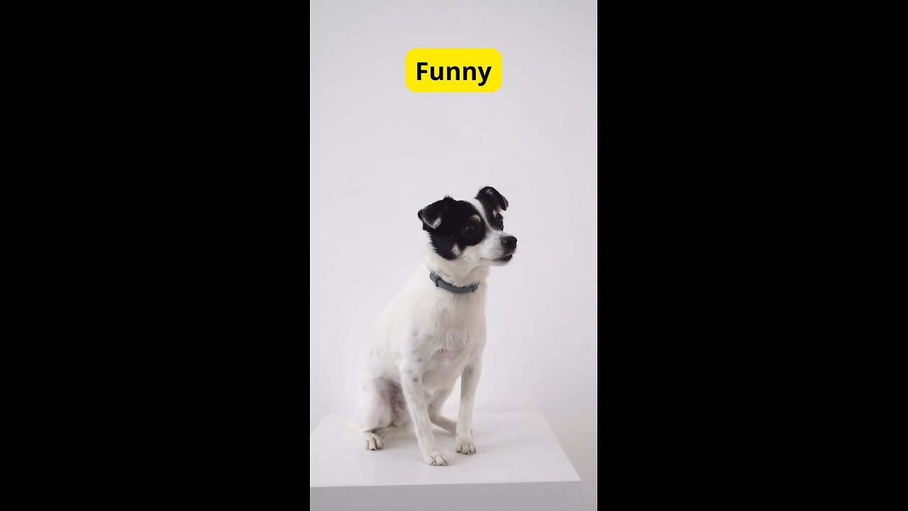 Is this true for your dog🐶? Let me know in the comments👇