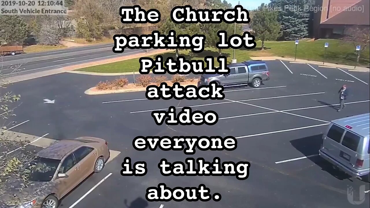 The Church Parking Lot Pitbull Attack Video