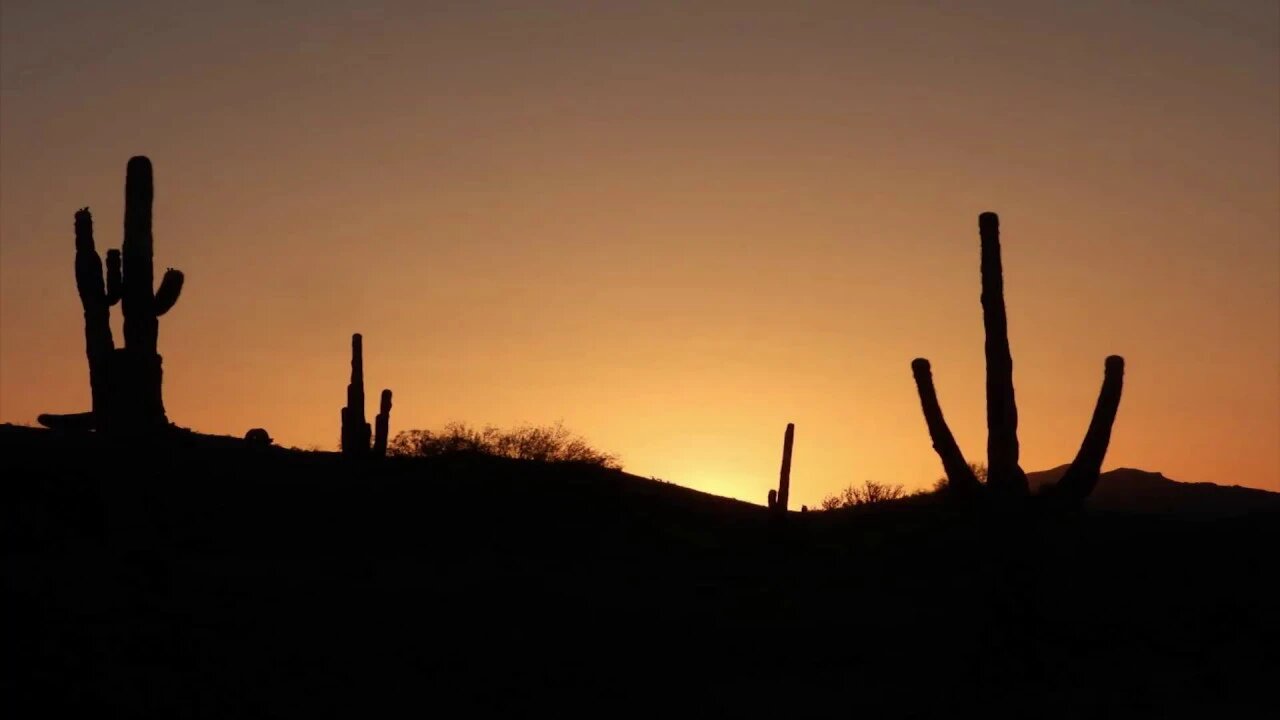 2019 Climate Crisis In Review