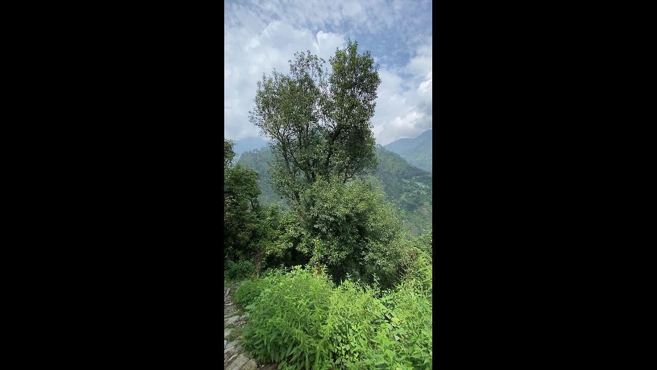 Uttarakhand