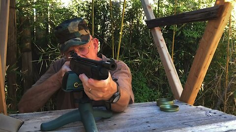 This Crosman 362 did well with the US Army 25 mtr Qualification Target: Veterans Day Special