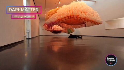 The Gallery at Creative Pinellas: DARKMATTER | Taste and See Tampa Bay