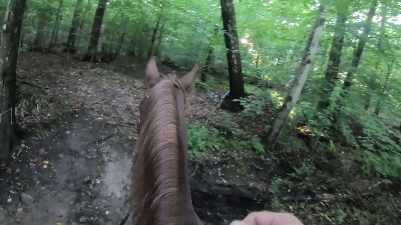 Riding Archie around the Ranch!