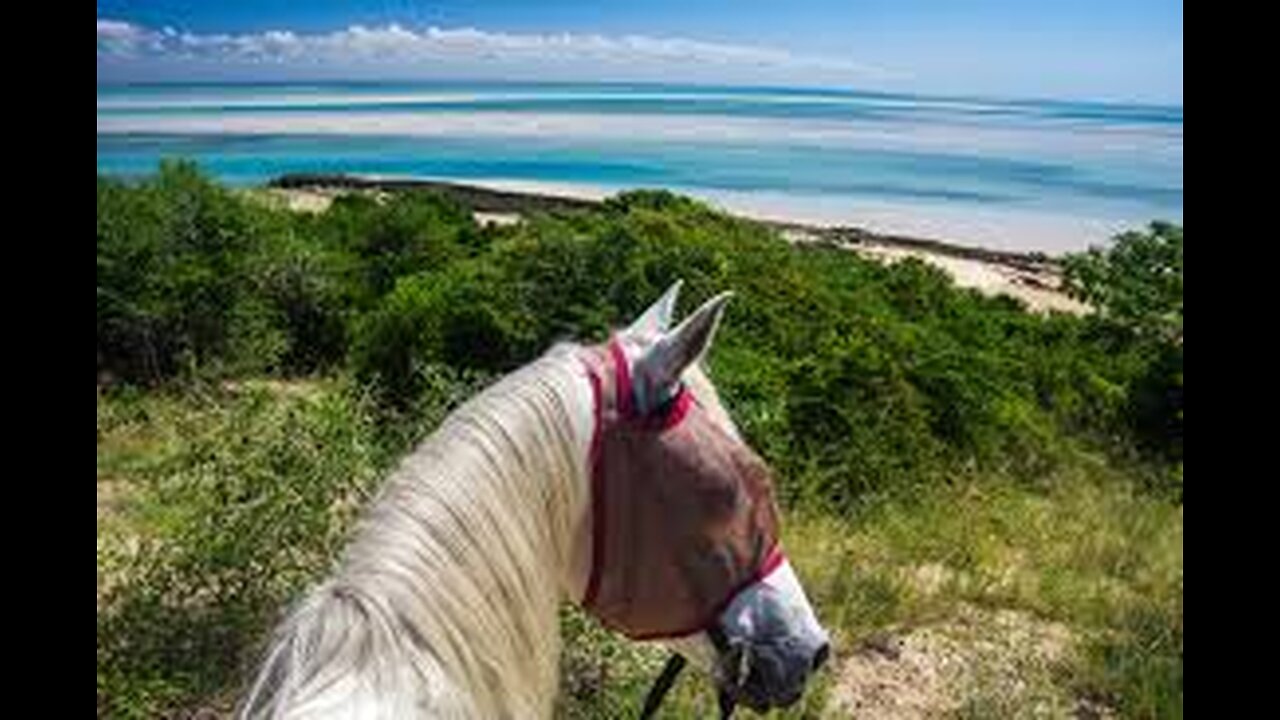 Jimmie Rodgers BIMBOMBAY