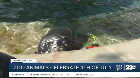 Zoo Animals Celebrate 4th of July