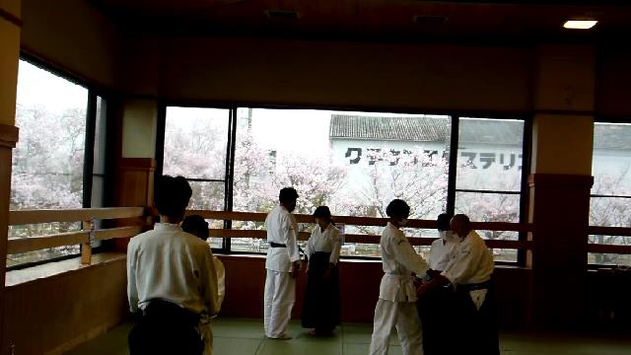 Aikido Practice Among the Cherry Blossoms in Japan