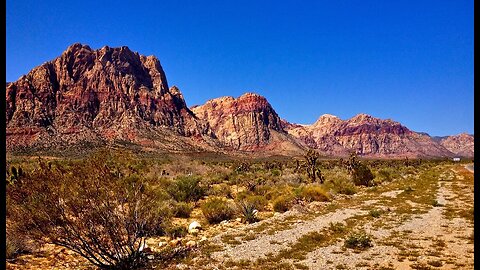 Brandon Flowers ~ Nevada ~ Song & Scenes