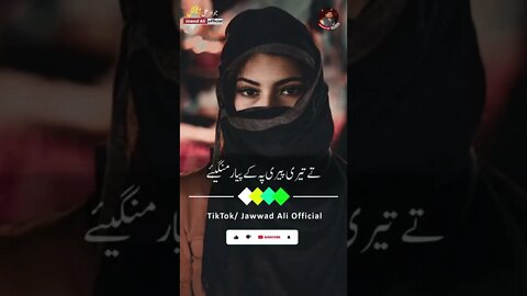 Teri Fitrat Wich E Dasna Si - Punjabi Poetry Whatsapp Status - Sad Saraiki Shero Shayari Dohray