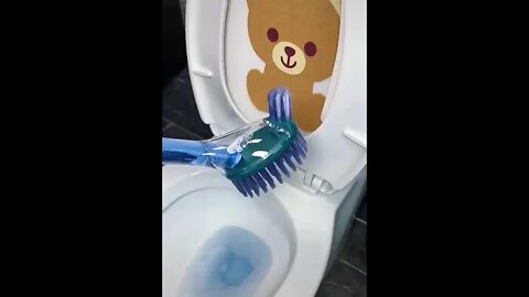 flush cleaner