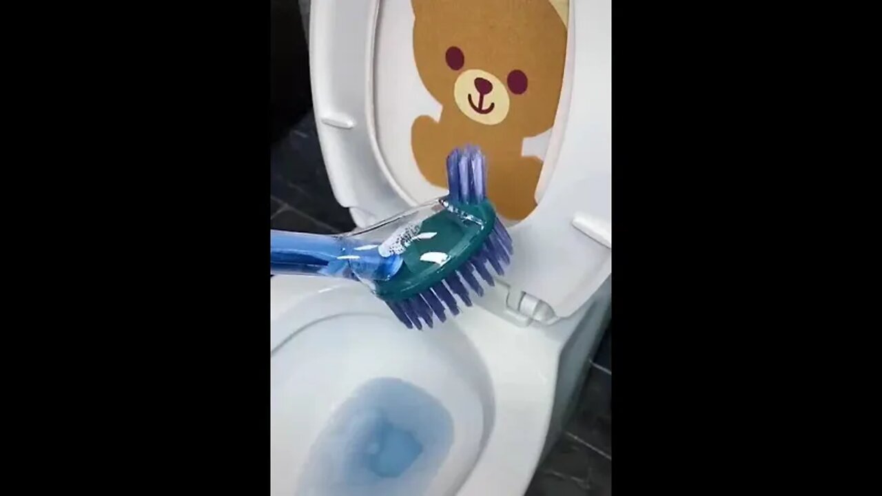 flush cleaner