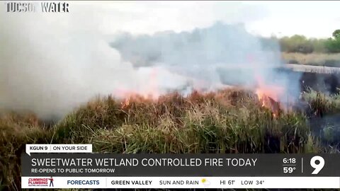 Sweetwater wetlands to perform annual controlled burn Thursday, Nov. 3