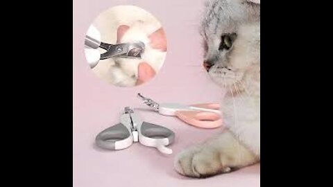 How to cut your cat's nails