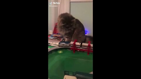 You Play With Me Only!