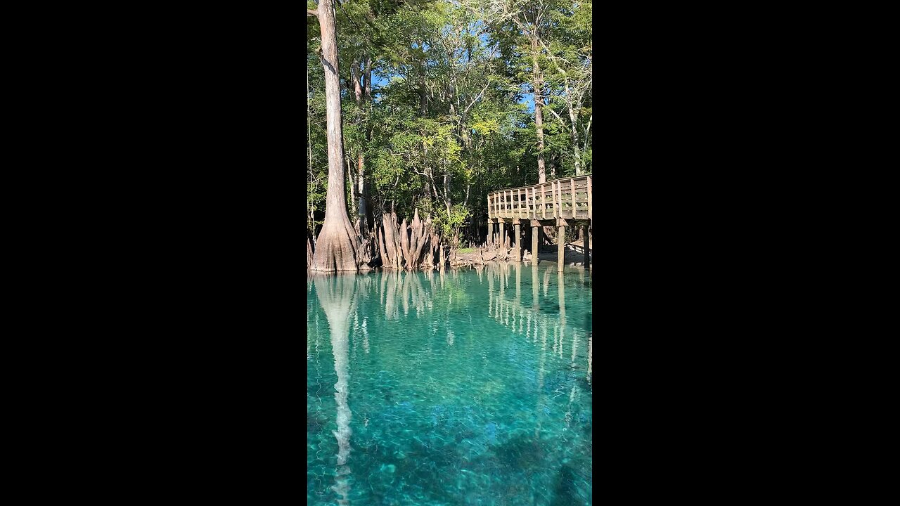 Morrison Spring: a Must Visit in the Florida Panhandle!