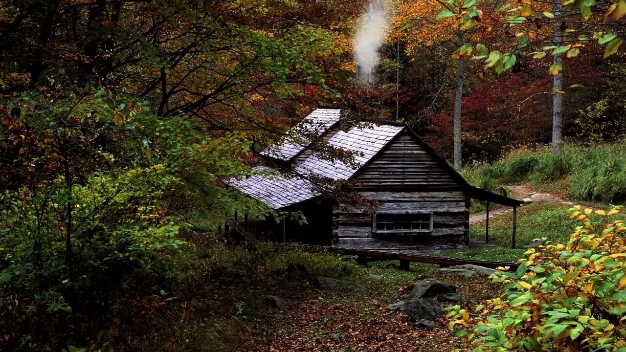 The sound of rain in the forest for sleep, meditation and relaxation.