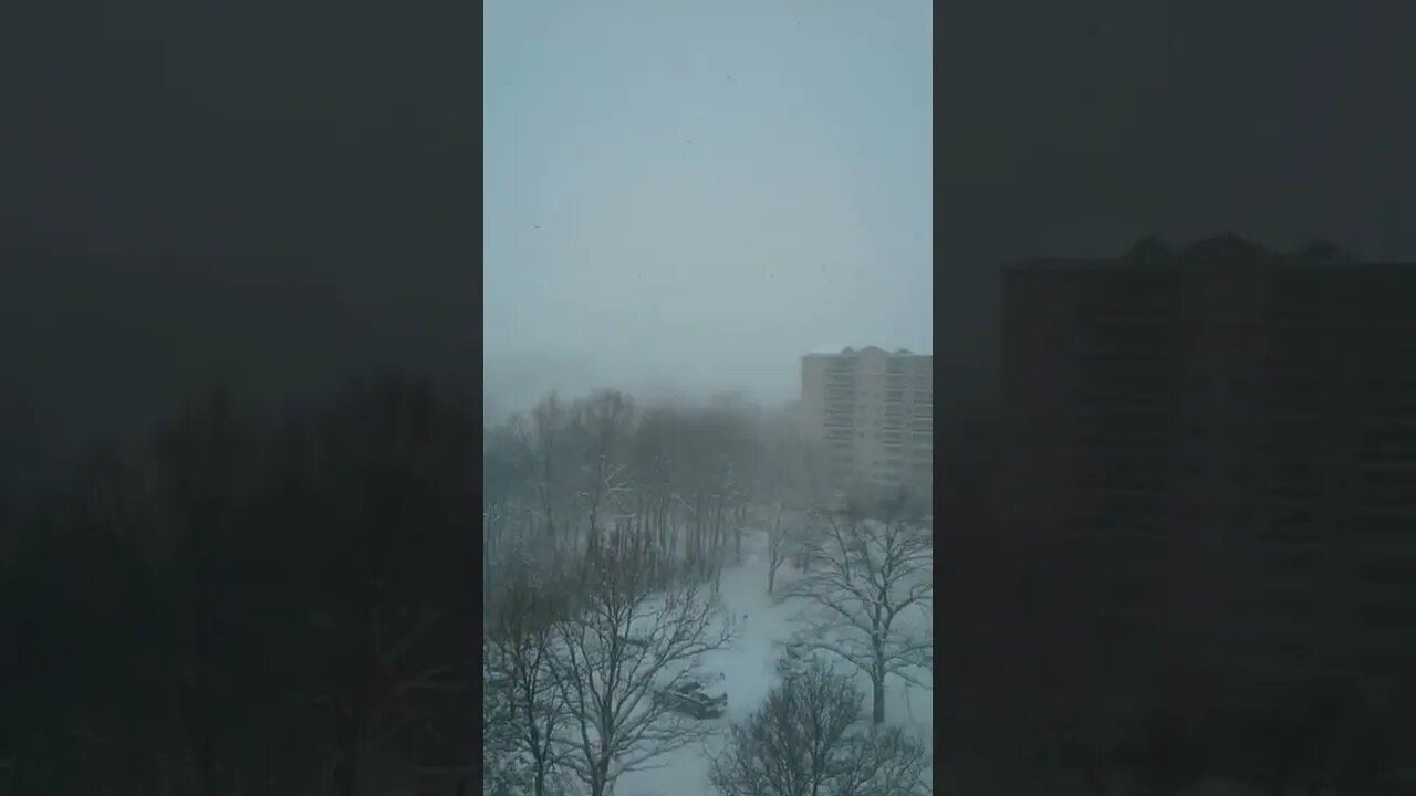 【各位老鐵不喜勿入可繞過】白雪皚皚