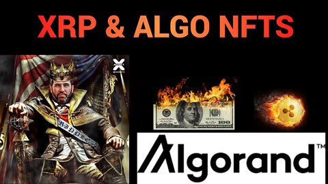 XRP & Algo NFTs Ready To Go!