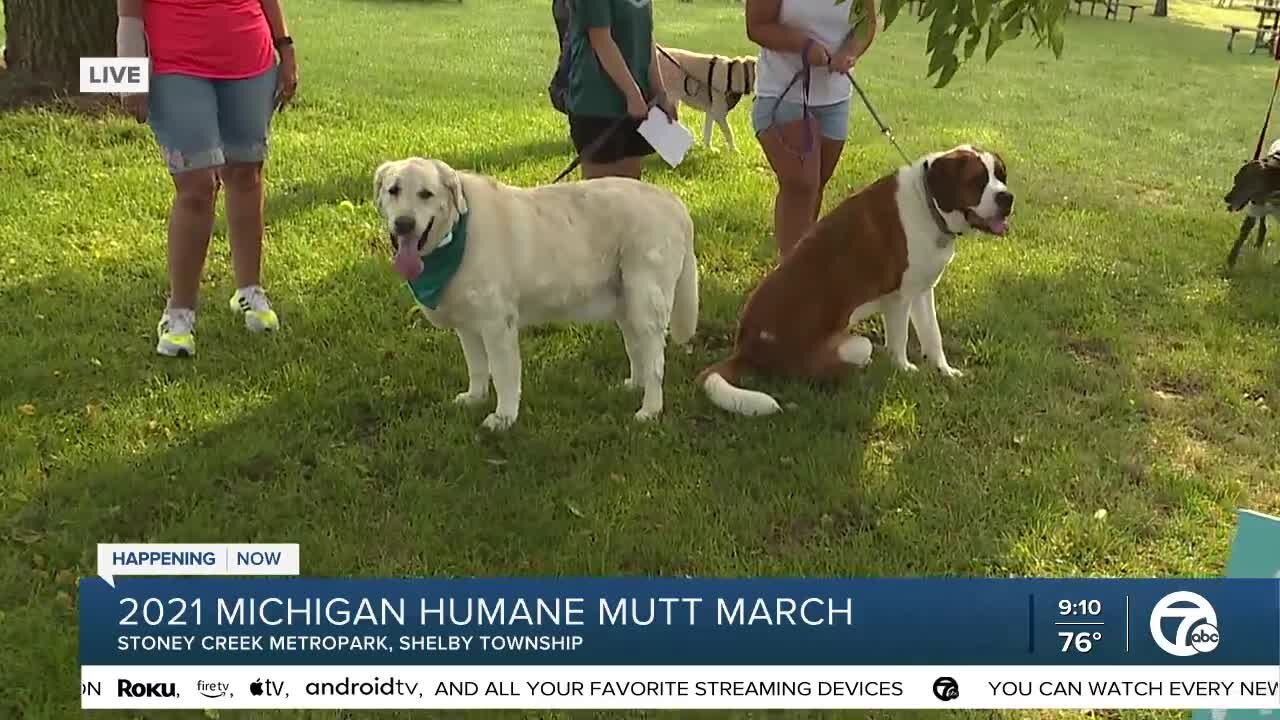 2021 Mutt March