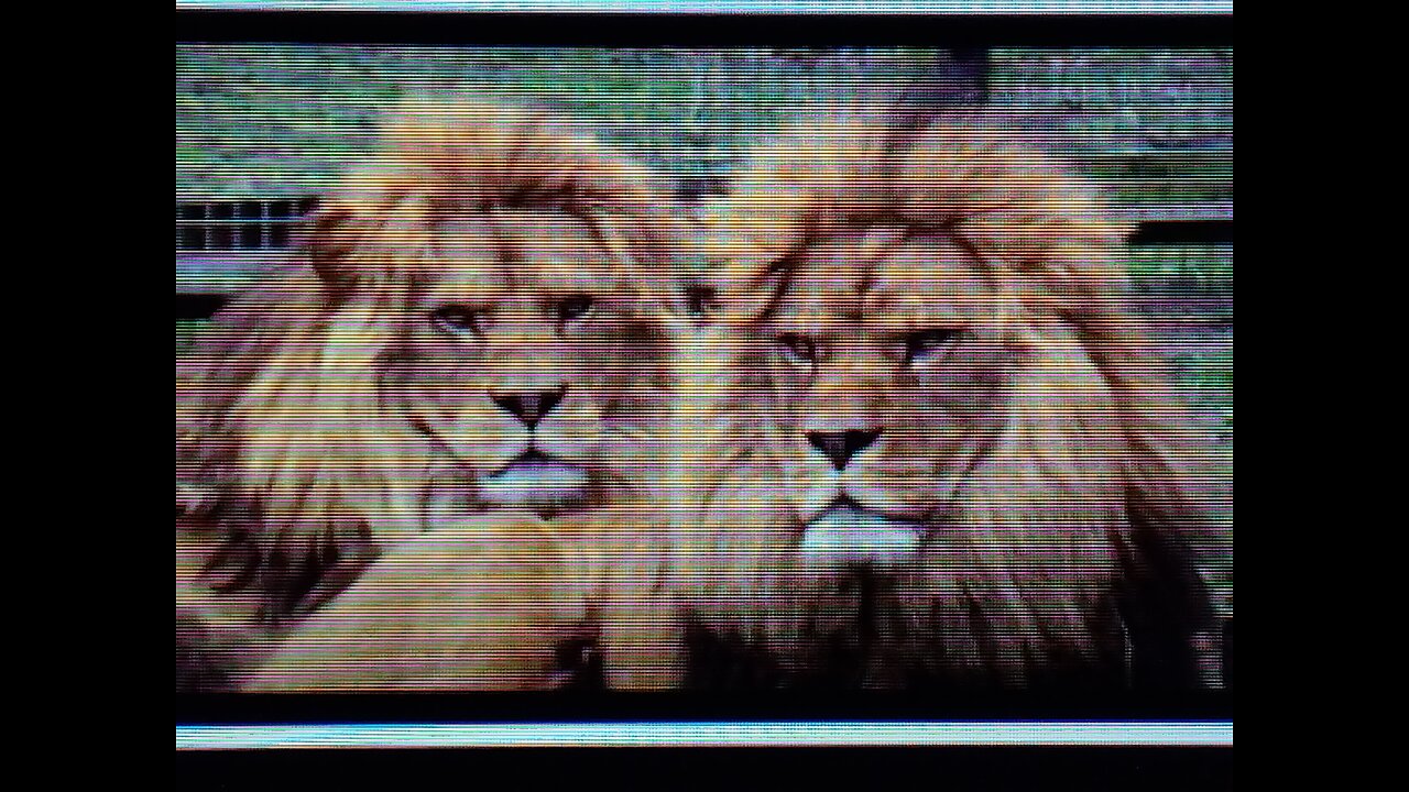 EDOMITES SHAKING IN THEIR BOOTS#ITSALMOSTTHATTIME- ENDURE THESE LAST DAYZ!...