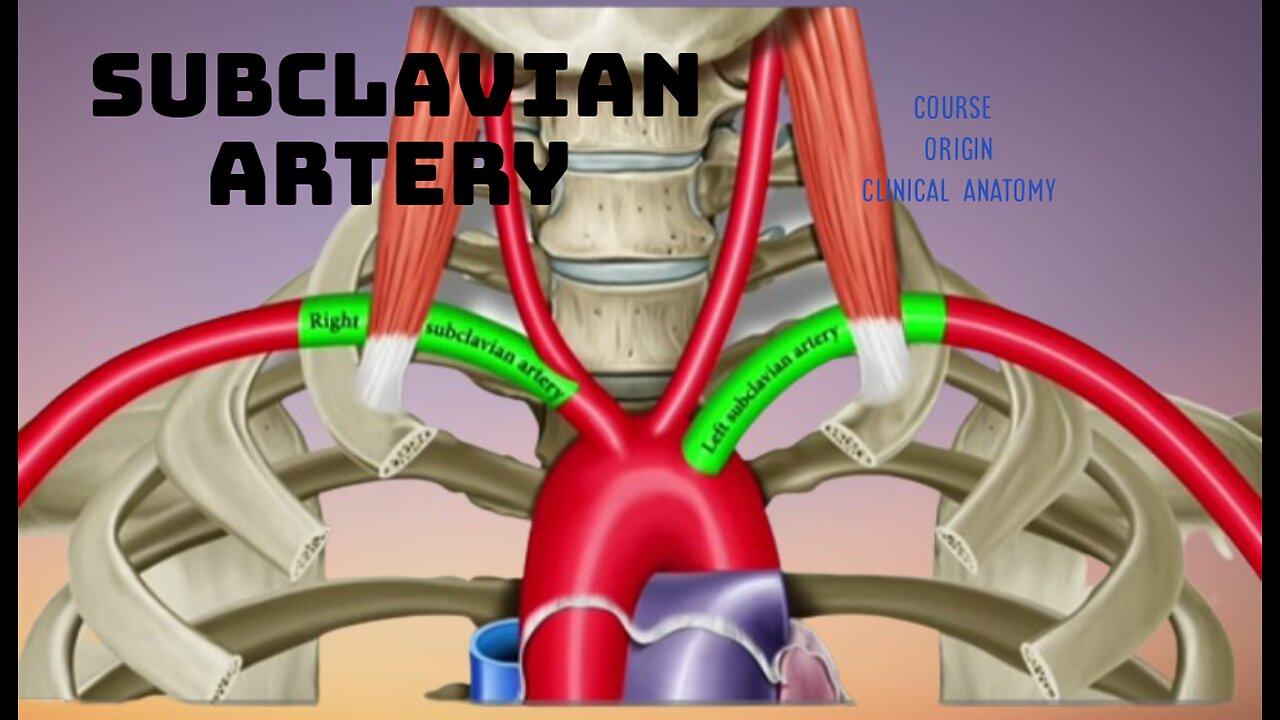 subclavian Artery 3d anatomy clinicals anatomy animated vedio