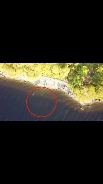 Loch Ness Monster • Loch Ness Drone [British YouTuber claims he has captured the Loch Ness monster]