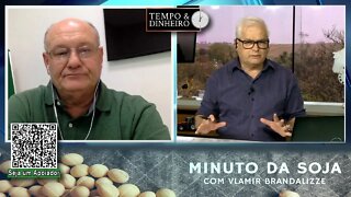 Arroz e Feijão tiveram poucos negócios na semana