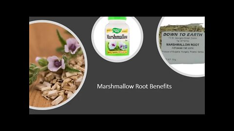 Marshmallow Root Benefits