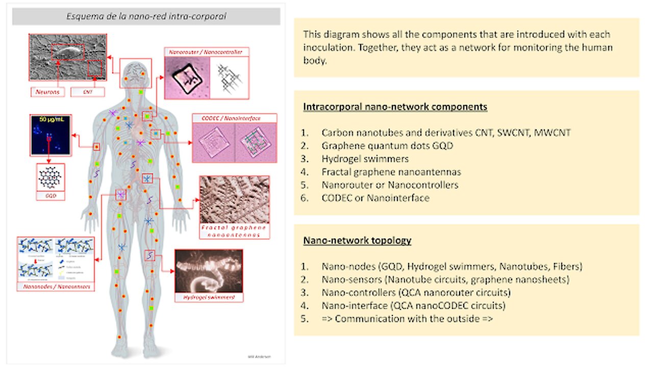 Intra-Body Nano-Network