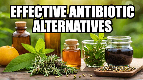 Natural Alternatives to Antibiotic Drugs – Are They Effective?