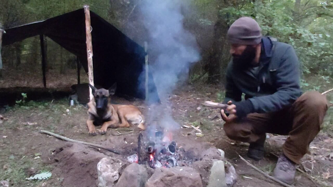 Camping with my Dog - Wilderness Survival, Forest Film, Camp Cooking