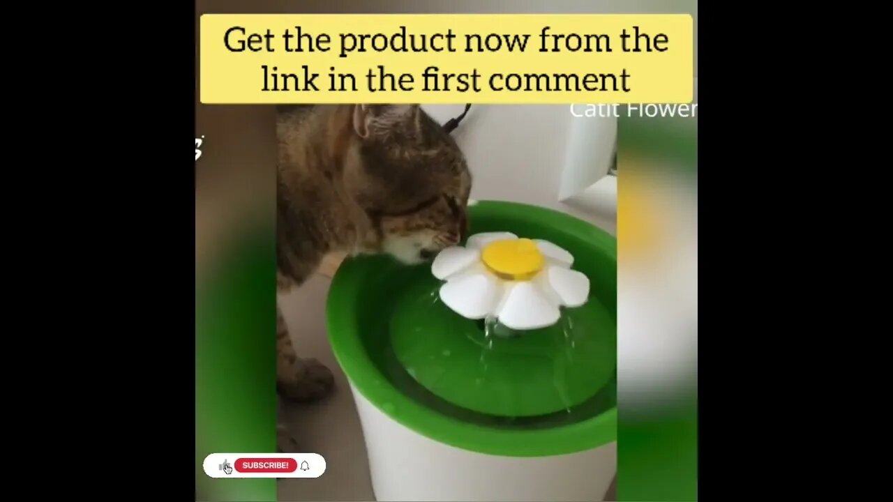 cute cat videos 😹 funny videos 😂183