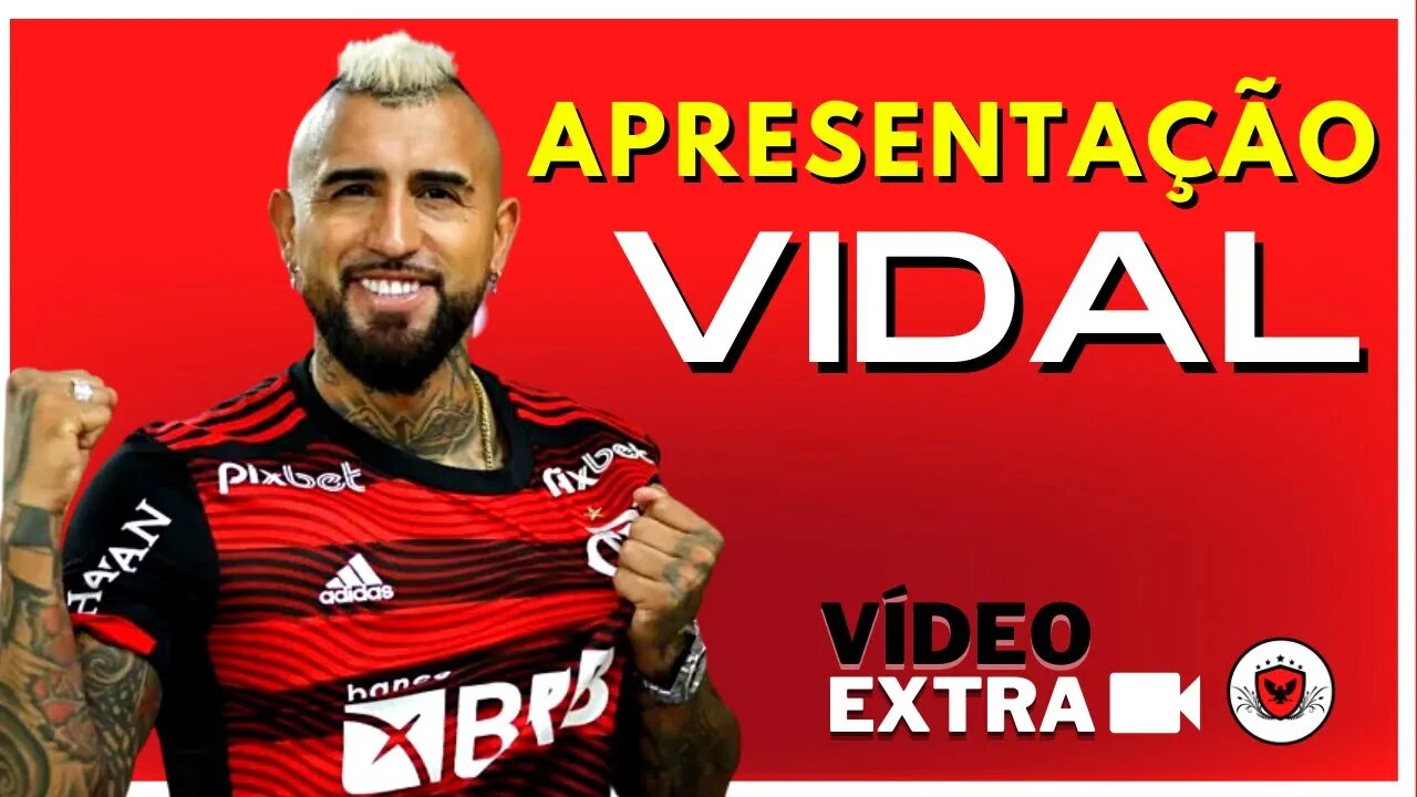 APRESENTAÇÃO VIDAL - Primeiras impressões.