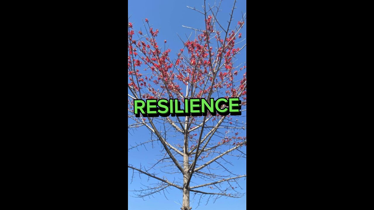 RESILIENCE