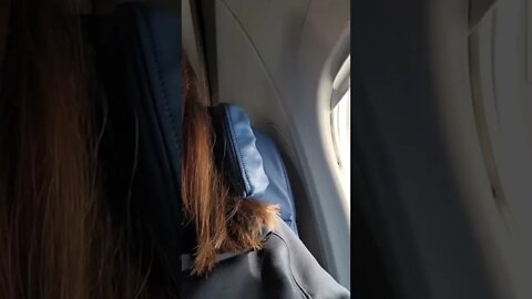 Attached Headrest