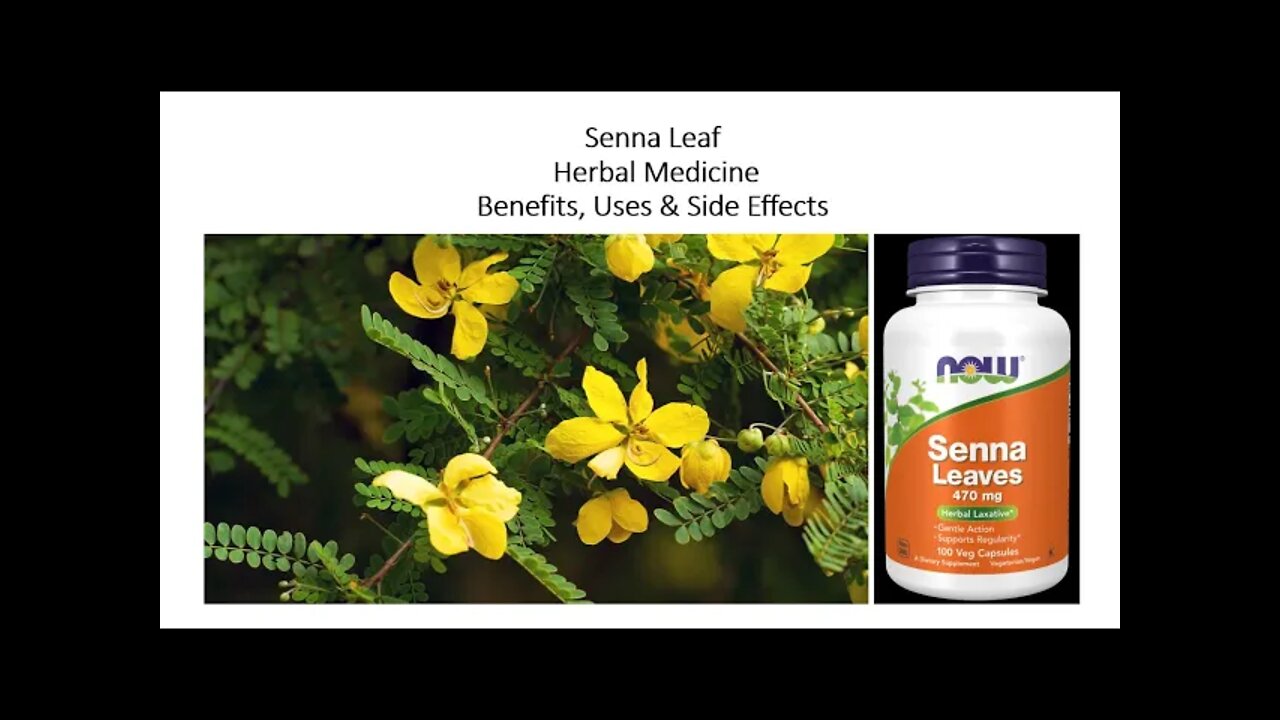 Senna Leaf - Herbal Medicine - Benefits, Uses & Side Effects