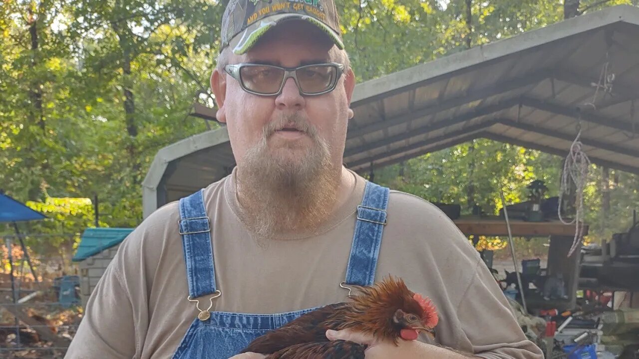 Homestead Update #11