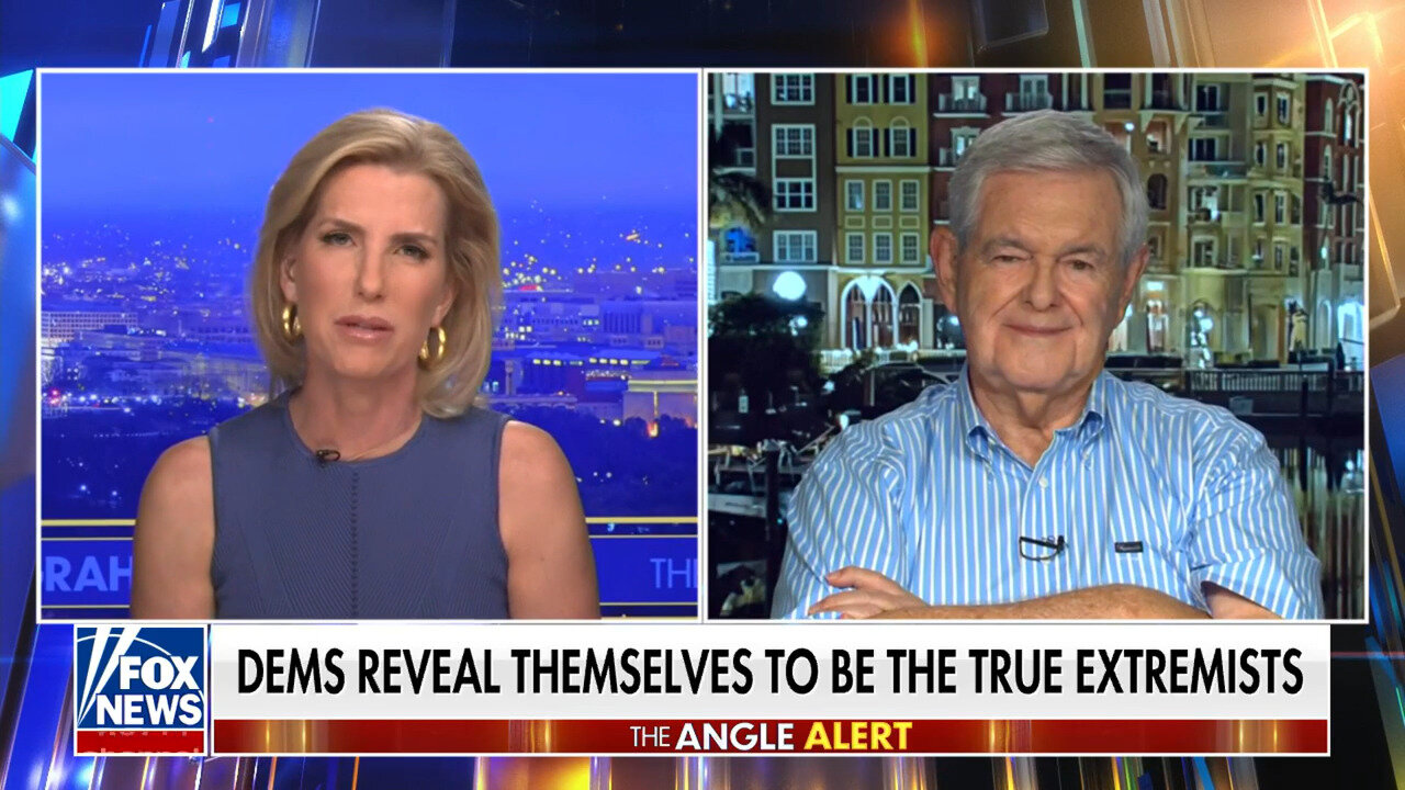 Newt Gingrich: We Have Never Seen This Level Of Desperation In American Politics