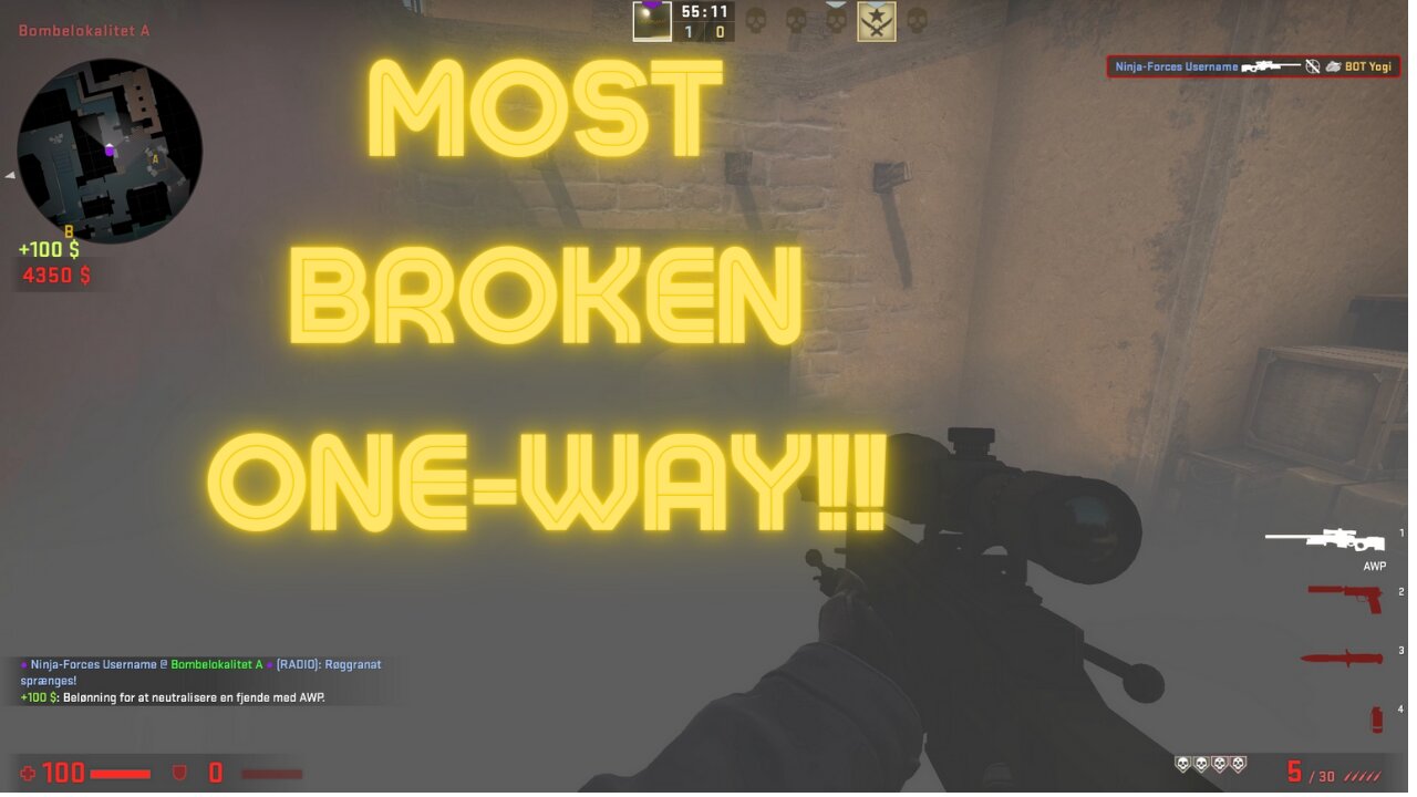 Best CS:GO One-way smoke !