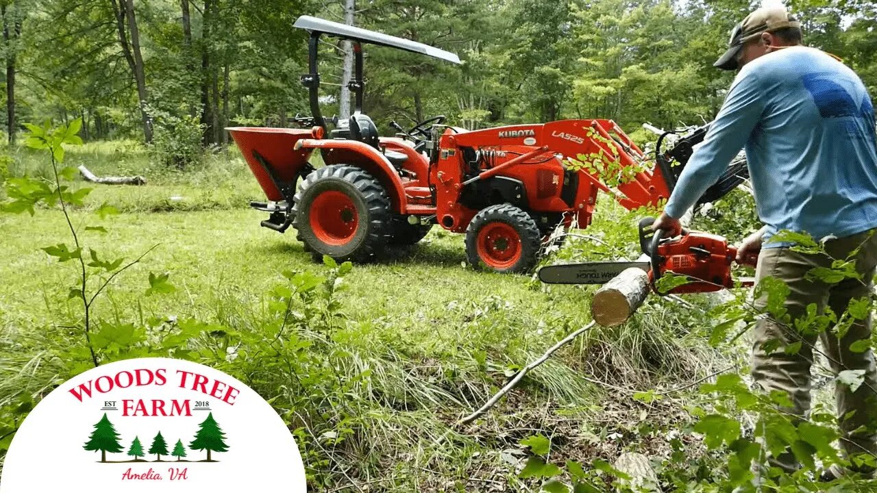 Clearing To Build A New Farm Attraction