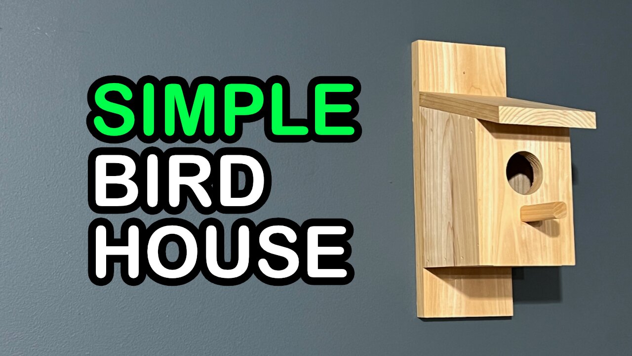 Simple Bird House | Shop Noise