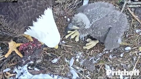 Me(E-14) and my Dad like to hang out together. 1-13-20