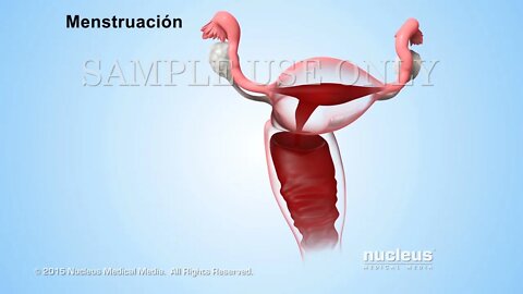 Píldoras de control de natalidad