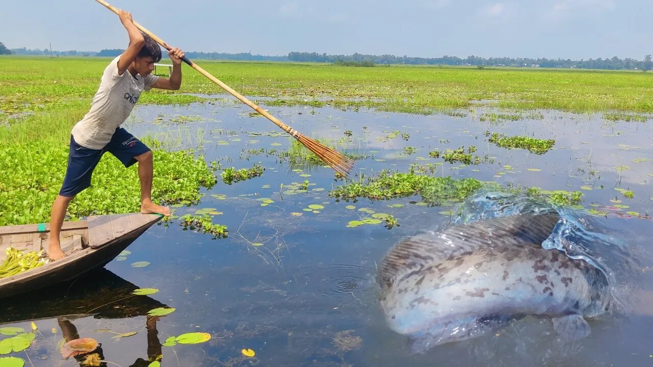 [Village Best Boat Fishing Experience] Amazing Village Expert Boy Fishing With Boat In Flood Water