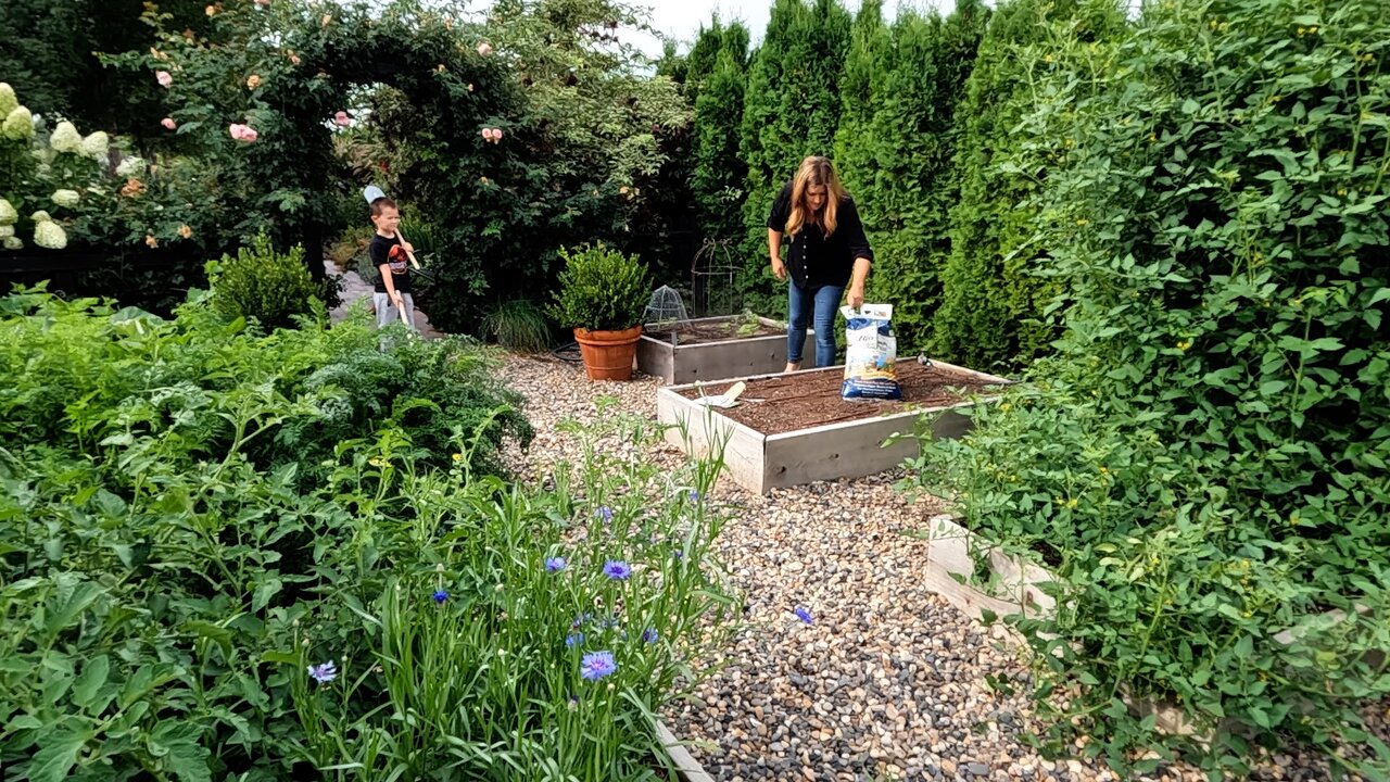 Planting Fall Crops, Cucumber Salad & Harvesting More Potatoes! 🥒🥔